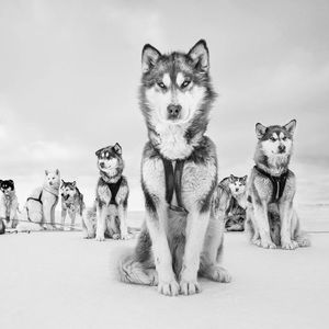 Meet your Posher, Emilie